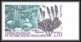 89953e/ Terres Australes Taaf N°209 Lycopodium Flore Flora Non Dentelé Imperf ** MNH  - Non Dentelés, épreuves & Variétés