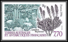 89953d/ Terres Australes Taaf N°209 Lycopodium Flore Flora Non Dentelé Imperf ** MNH  - Geschnittene, Druckproben Und Abarten