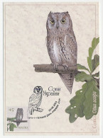 Maximum Card Ukraine 2003 Bird - Owl - Autres & Non Classés