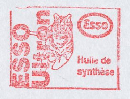 Meter Cover France 2003 Tiger - Esso - Oil - Other & Unclassified