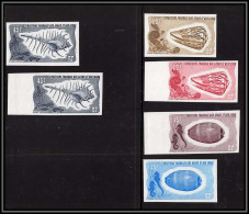 91175 Afars Et Issas N° 394 /404 Lot De 6 Essai Proof Non Dentelé Imperf ** MNH Shells - Unused Stamps