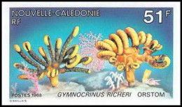91769b Nouvelle-Calédonie N° 557 Crinoide Gymnocrinus Animaux Marins Sea Animals Non Dentelé Imperf ** MNH - Imperforates, Proofs & Errors