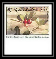 91765c Nouvelle-Calédonie N° 556 Plante Médicinale Medicinal Plant Ochrosia Non Dentelé Imperf ** MNH - Heilpflanzen