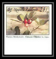 91765c Nouvelle-Calédonie N° 556 Plante Médicinale Medicinal Plant Ochrosia Non Dentelé Imperf ** MNH - Geneeskrachtige Planten