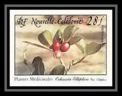 91765b Nouvelle-Calédonie N° 556 Plante Médicinale Medicinal Plant Ochrosia Non Dentelé Imperf ** MNH - Geneeskrachtige Planten