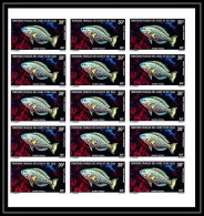 91633c Afars Et Issas PA N° 66 Scarus Vetula Poisson-perroquet Fish Fishes Non Dentelé Imperf ** MNH Bloc 15 - Unused Stamps