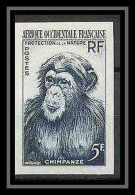 91979a Afrique Occidentale Francaise AOF N° 51 Singe (monkey) Chimpanzé Chimpanzee Essai Proof Non Dentelé Imperf ** MNH - Neufs