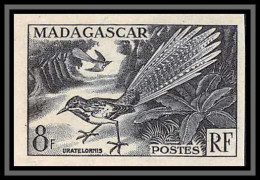 91977b Madagascar N°323 Oiseaux Bird Uratelornis Brachyptérolle à Longue Queue Essai Proof Non Dentelé Imperf ** Mnh - Neufs