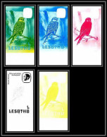 91871c Lesotho N° 442 Crécerelle Faucon Falcon Kestrel Oiseaux Bird Essai Proof Non Dentelé Imperf ** MNH  - Aigles & Rapaces Diurnes