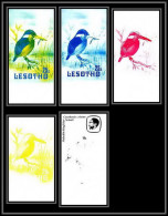 91869c Lesotho N°449 Martin-pêcheur Kingfisher Oiseaux Bird Birds Essai Proof Non Dentelé Imperf Mnh ** - Altri & Non Classificati