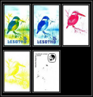 91869b Lesotho N°449 Martin-pêcheur Kingfisher Oiseaux Bird Birds Essai Proof Non Dentelé Imperf Mnh ** - Lesotho (1966-...)