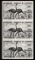 92879 Cameroun PA N°55 Autruche Ostrich Autruches Essai Proof Non Dentelé ** (MNH Imperf) Bande De 3 - Straussen- Und Laufvögel