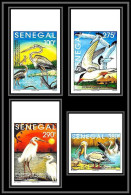 92747c Sénégal N°1108/1111 Kalissaye Oiseaux Birds 1994 Héron Sterne Pelican Aigrette Terns Non Dentelé ** MNH Imperf  - Pelikane