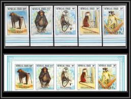 92738c Sénégal 1193/1197 Primates Singes Babouin Chimpanzé Baboon Chimpanzee Apes 1996 Non Dentelé ** MNH Imperf + Serie - Sénégal (1960-...)
