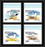92732c Sénégal N°1153/1156 Sterne Oiseaux De Mer Seabird Birds Tern Non Dentelé ** MNH Imperf - Konvolute & Serien