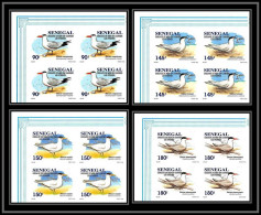 92732a Sénégal N°1153/1156 Sterne Oiseaux De Mer Seabird Birds Tern Non Dentelé ** MNH Imperf Bloc 4 - Senegal (1960-...)