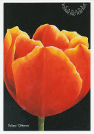 Postal Stationery Canada 2002 Flower - Tulip - Ottawa - Autres & Non Classés