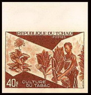 93443e Tchad N°269 Agriculture Culture Du Tabac Tobacco Essai Proof Non Dentelé Imperf ** MNH  - Tobacco