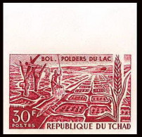 93441c Tchad N°145 Culture Du Blé Dans Les Polders Du Lac Wheat Essai Proof Non Dentelé Imperf ** MNH Bande De 5 Strip - Alimentazione