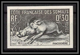 93337 Cote Française Des Somalis N°287 Phacochère Warthog Essai Proof Non Dentelé Imperf ** MNH - Autres & Non Classés