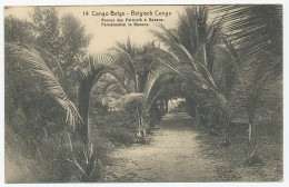 Postal Stationery Belgian Congo Palm Tree - Banana - Arbres