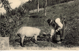 Périgueux - Deux Périgords Cherchant La Truffe - CPR Cartes D'Autrefois - Boerderijen