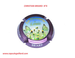 CAPSULE DE CHAMPAGNE - CHRISTIAN BRIARD N°6 - Sammlungen