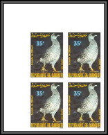 93951b Djibouti Yt N°654 MI 523 Francolin Gallinacé Oiseaux Birds 1989 Non Dentelé Imperf ** MNH Bloc De 4 - Gibuti (1977-...)