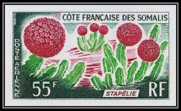 93910d Cote Française Des Somalis PA N°47 Cactus Non Dentelé Imperf ** MNH - Sukkulenten