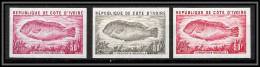 93785e Cote D'ivoire N°327 A Xyrichtys Novacula Poisson Fish 1973 Lot De 3 Essai Proof Non Dentelé Imperf ** MNH - Côte D'Ivoire (1960-...)