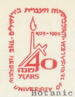 Meter Cut Israel 1965 The Hebrew University Of Jerusalem - 40 Years - Ohne Zuordnung