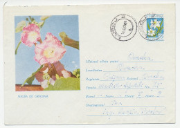 Postal Stationery Rumania 1963 Rose - Nalba De Gradina - Sonstige & Ohne Zuordnung