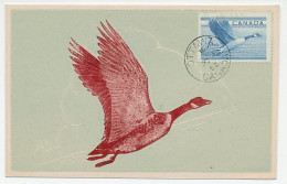 Maximum Card Canada 1952 Bird - Goose - Andere & Zonder Classificatie