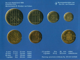 NEERLANDÉS NETHERLANDS 1993 MINT SET 6 Moneda + MEDAL #SET1113.7.E.A - Nieuwe Sets & Testkits