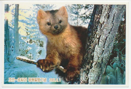Postal Stationery Korea 2005 Marten - Weasel - Sonstige & Ohne Zuordnung