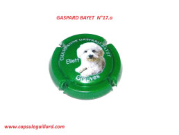 CAPSULE DE CHAMPAGNE - GASPARD BAYET N°17.a - Collections