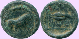 Auténtico Original GRIEGO ANTIGUO Moneda BULL 1.72g/13.04mm #ANC13324.8.E.A - Greek
