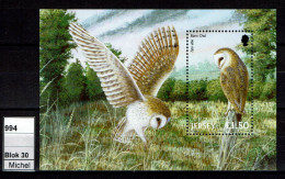 Jersey - 2001 - MNH - Birds Of Prey, Rapaces Nocturne, Owl, Uil - Jersey