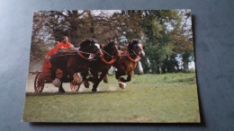 CPM CHEVAL CHEVAUX ATTELAGE FERME DU CHEVAL DE TRAIT LA MICHAUDIERE 61 JUVIGNY SOUS ANDAINE PUBLI CARTE  1606 - Pferde