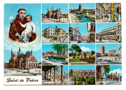 ITALIA // SALUTI DA PADOVA - Padova (Padua)