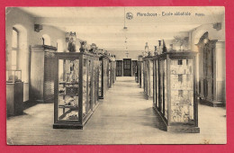 C.P. Denée =  Ecole  Abbatiale  :  Musée - Anhee