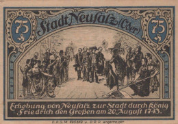 75 PFENNIG Stadt NEUSALZ Niedrigeren Silesia UNC DEUTSCHLAND Notgeld Banknote #PH261 - Lokale Ausgaben
