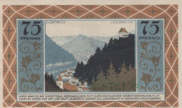 75 PFENNIG 1921 Stadt ZIEGENRÜCK Saxony DEUTSCHLAND Notgeld Banknote #PD450 - [11] Local Banknote Issues