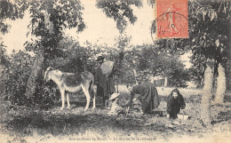 CPA 15 ENVIRONS DE MAURS LA RECOLTE DE LA CHATAIGNE  Rare - Autres & Non Classés