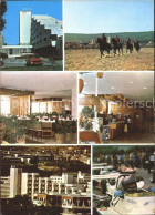 71936374 Albena Hotel Pferde  Burgas - Bulgarien