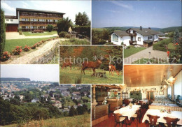 71936301 Luetzelbach Odenwald Pension Talblick Reh Luetzelbach - Sonstige & Ohne Zuordnung