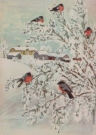 UCCELLO Animale Vintage Cartolina CPSM #PAM798.A - Vögel