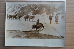 Original Photo Press 15x20cm 1920's Reesevelt Expedition Himalaya Mountaineering Escalade - Sports