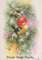 BIRD Animals Vintage Postcard CPSM #PAM746.A - Vögel