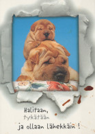 CHIEN Animaux Vintage Carte Postale CPSM #PAN770.A - Chiens